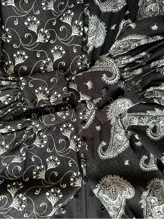 Ted Baker Black & White Mixed Paisley Midi Dress Size 2 Boho Designer Occasion - Picture 8 of 16